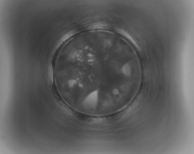X0000112151219200908141208
