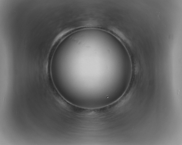 X0000112151222200908141208