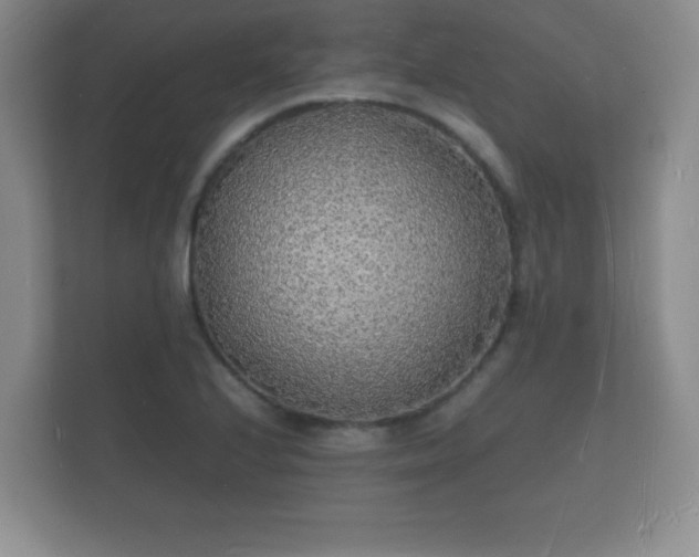 X0000112151224200908141208