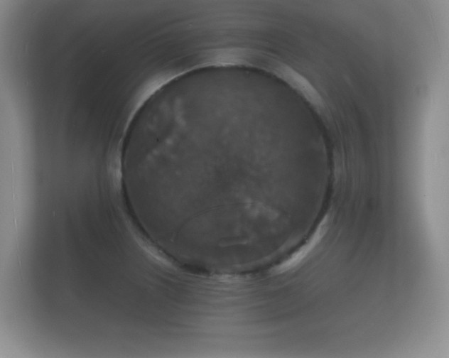 X0000112151226200908141208