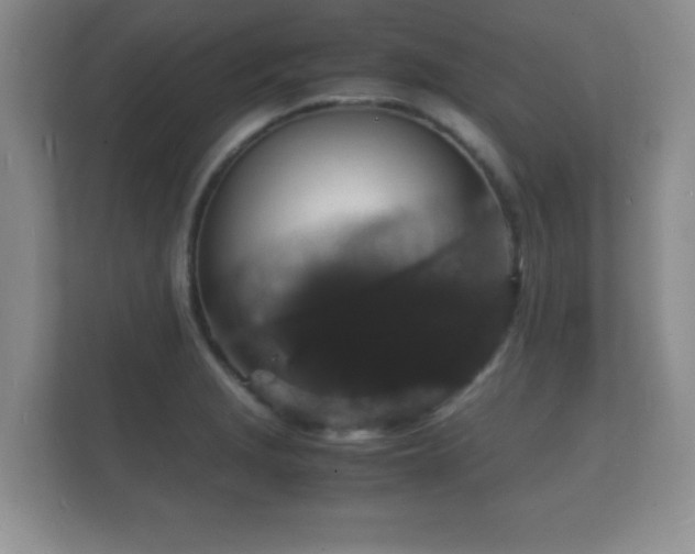 X0000112151229200908141208