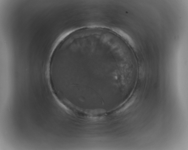 X0000112151231200908141208