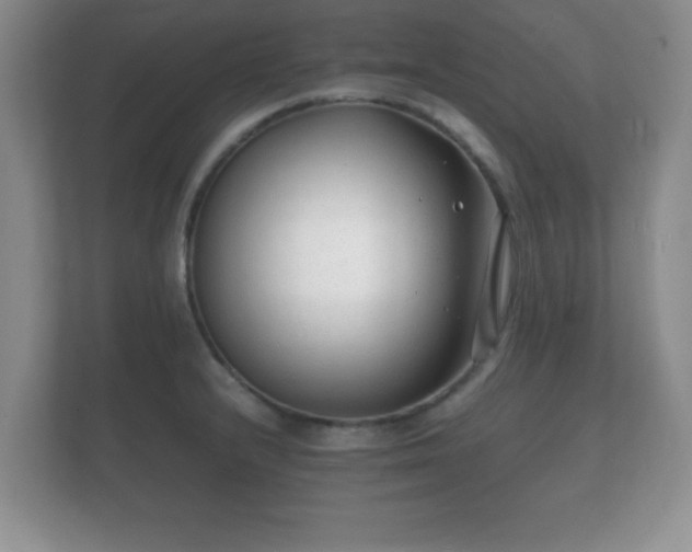 X0000112151232200908141208