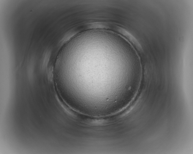 X0000112151233200908141208