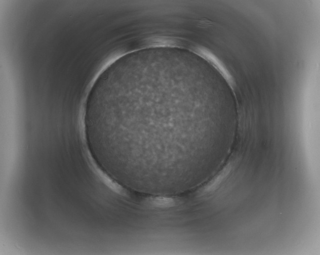X0000112151235200908141208