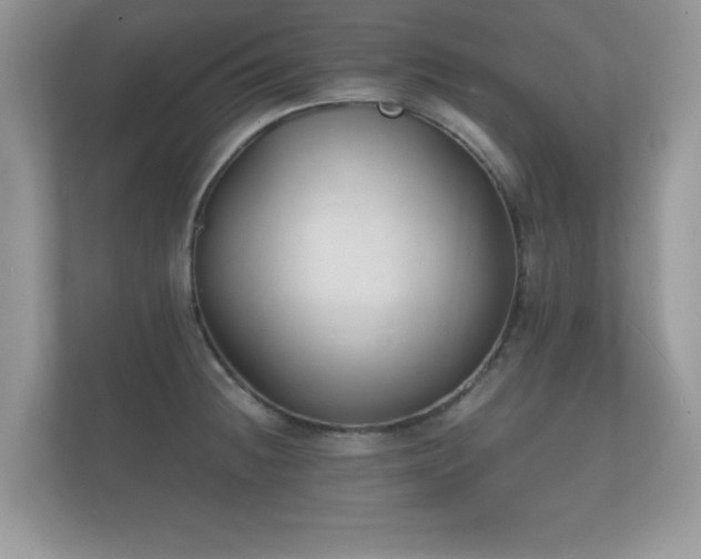 X0000112151236200908141208