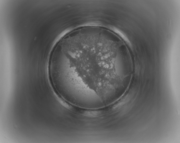 X0000112151237200908141208