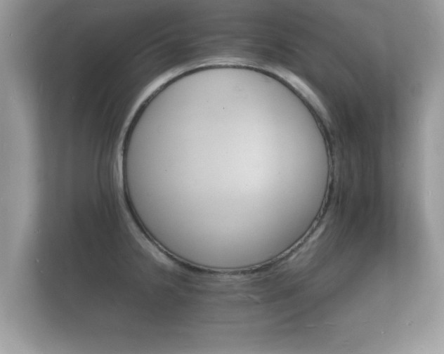 X0000112151238200908141208