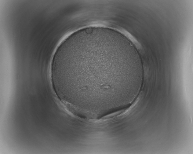 X0000112151240200908141208