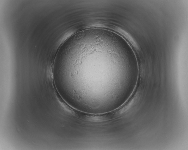 X0000112151241200908141208