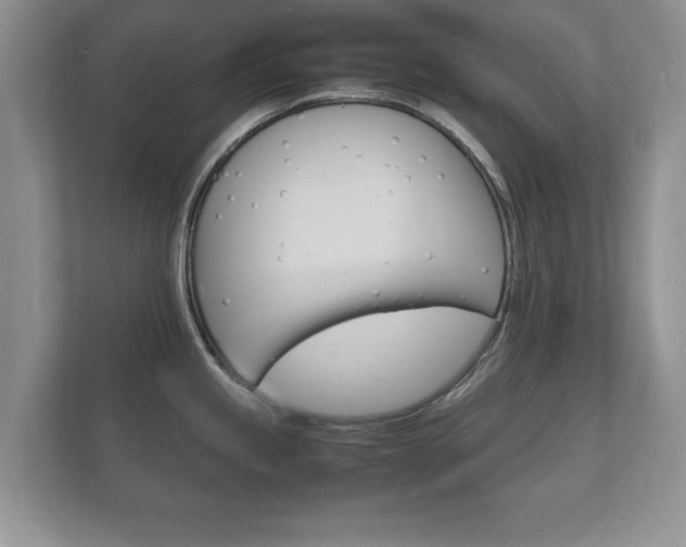 X0000112151245200908141208