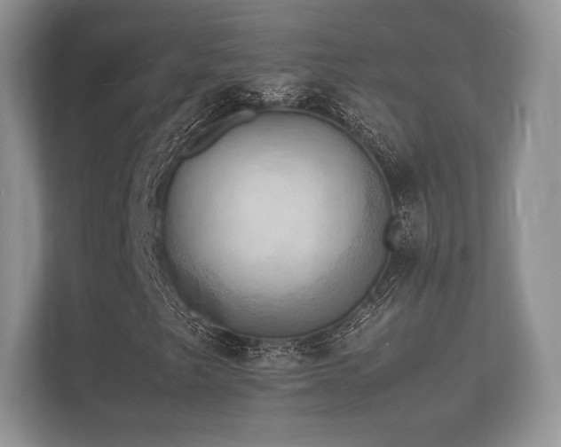 X0000112151249200908141207