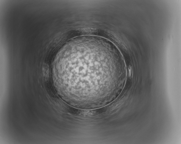 X0000112151251200908141207