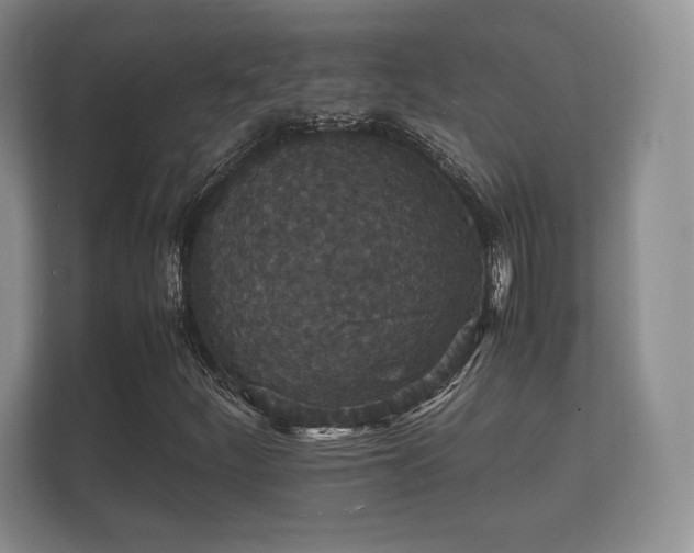 X0000112151252200908141207