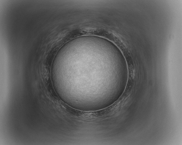 X0000112151253200908141207