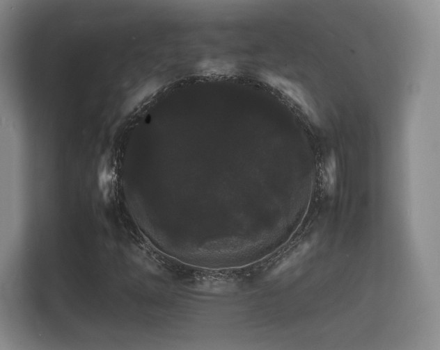 X0000112151254200908141207