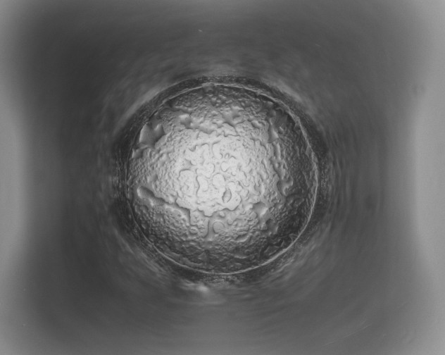 X0000112151255200908141207