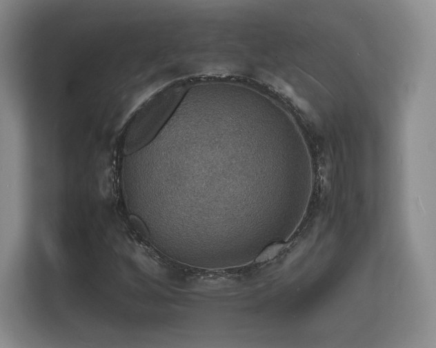 X0000112151256200908141207