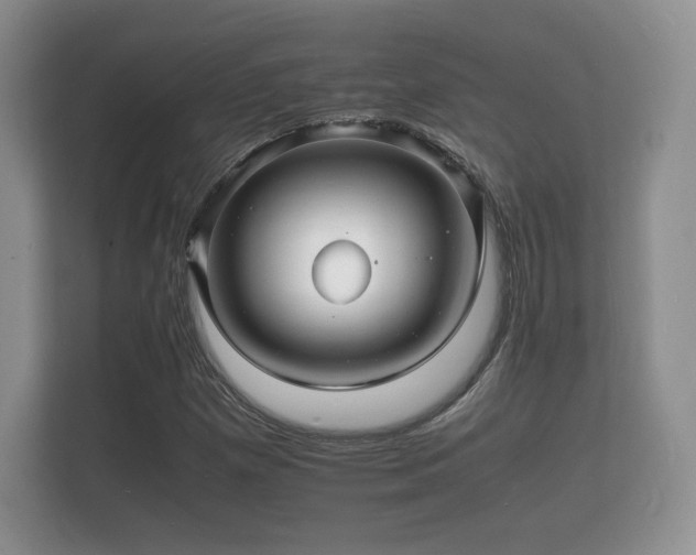 X0000112151257200908141207