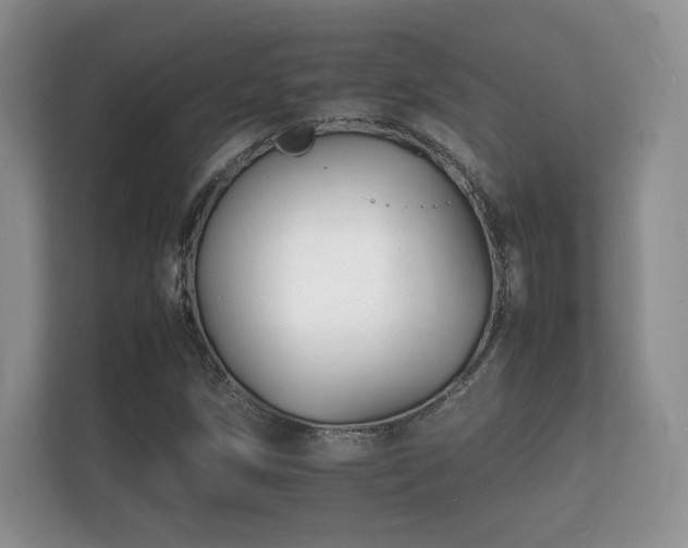 X0000112151258200908141207