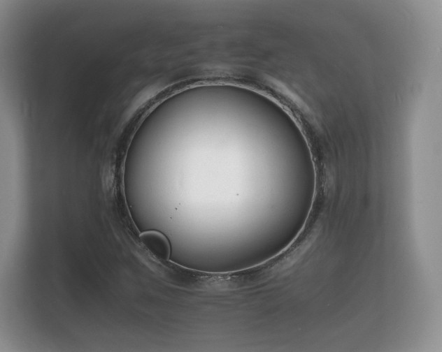 X0000112151259200908141207