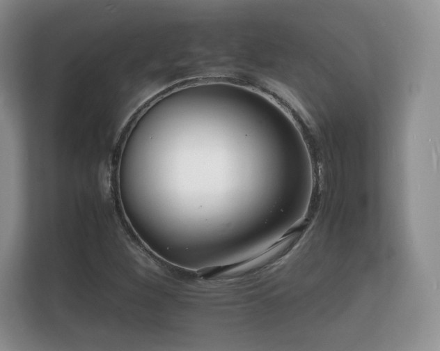 X0000112151260200908141207