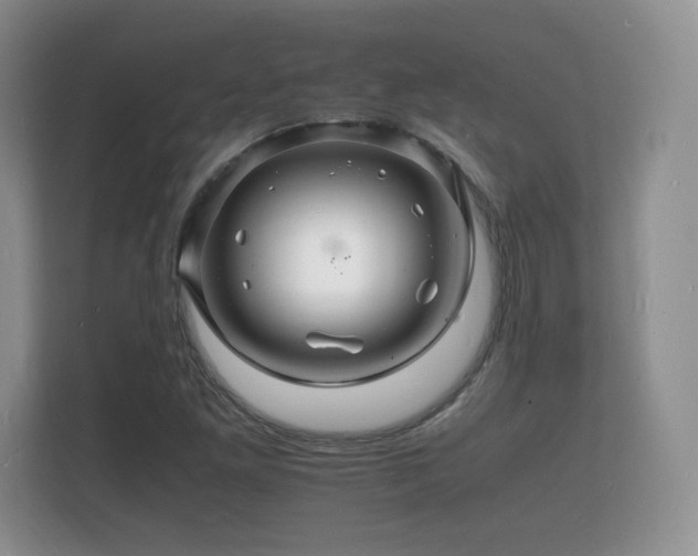 X0000112151261200908141207