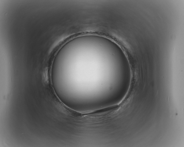 X0000112151262200908141207