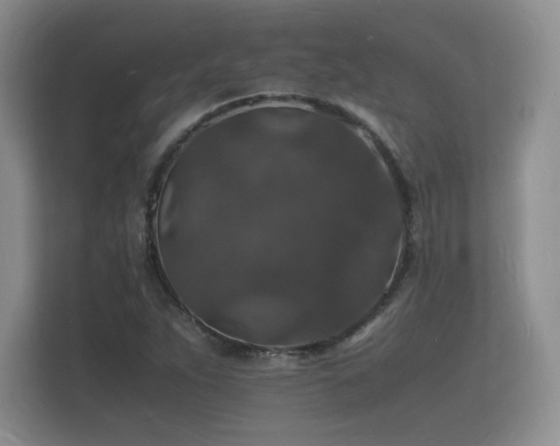 X0000112151263200908141207