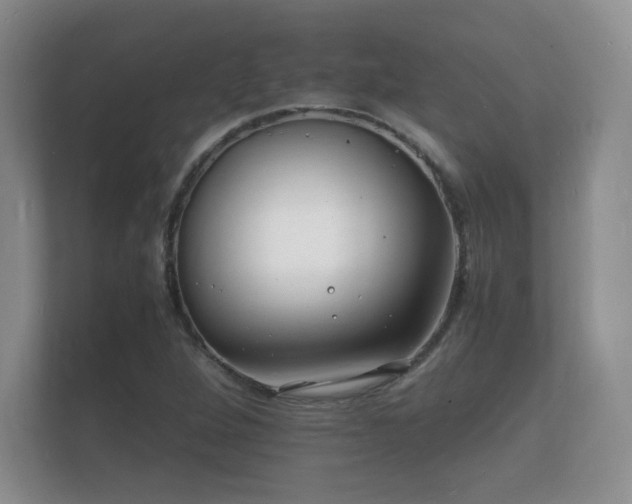 X0000112151264200908141207