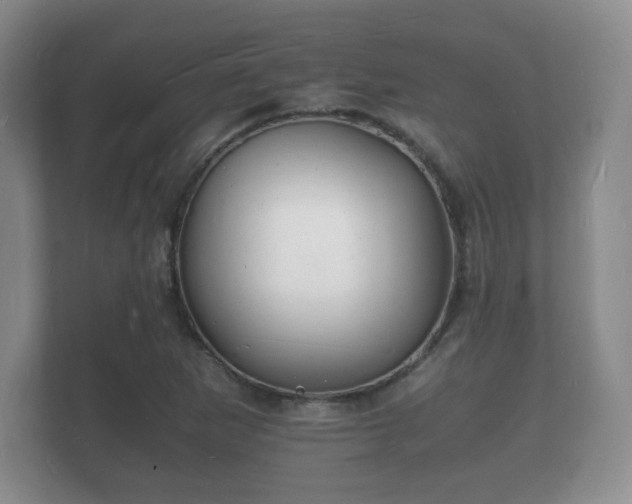X0000112151265200908141207