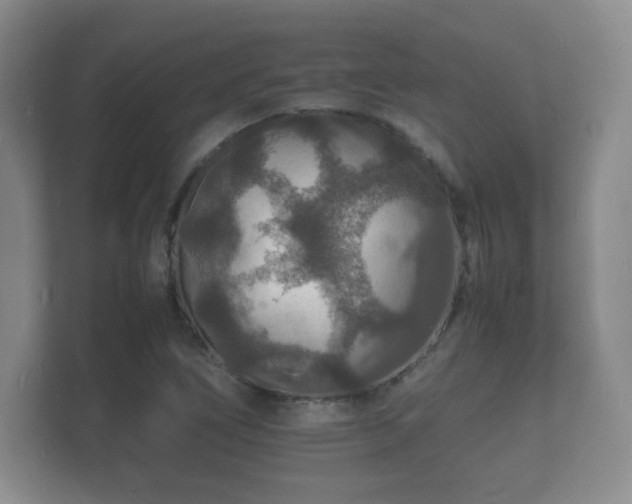 X0000112151266200908141207