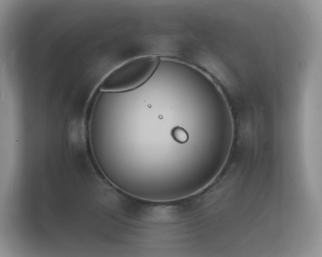 X0000112151268200908141207
