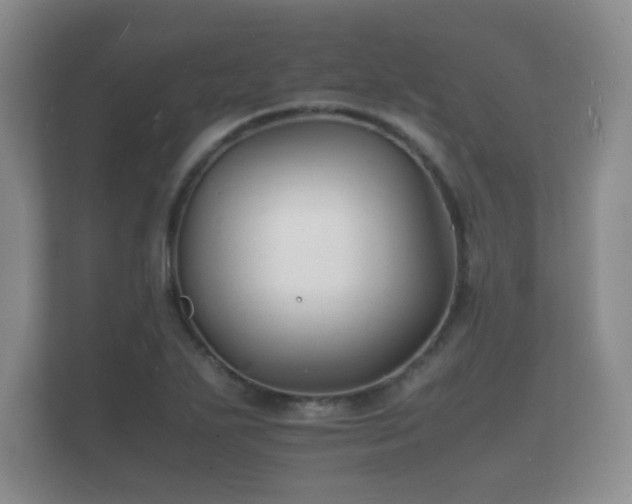 X0000112151271200908141207