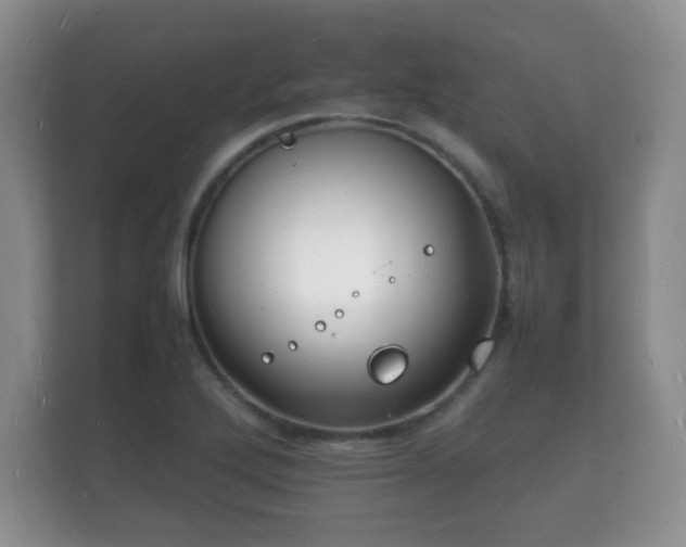 X0000112151272200908141207