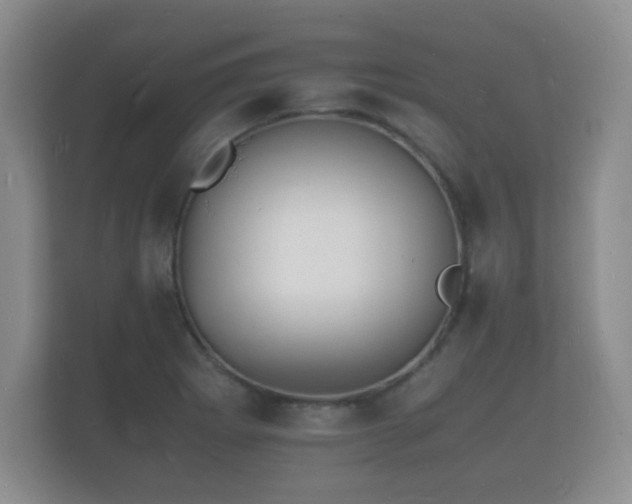 X0000112151273200908141207