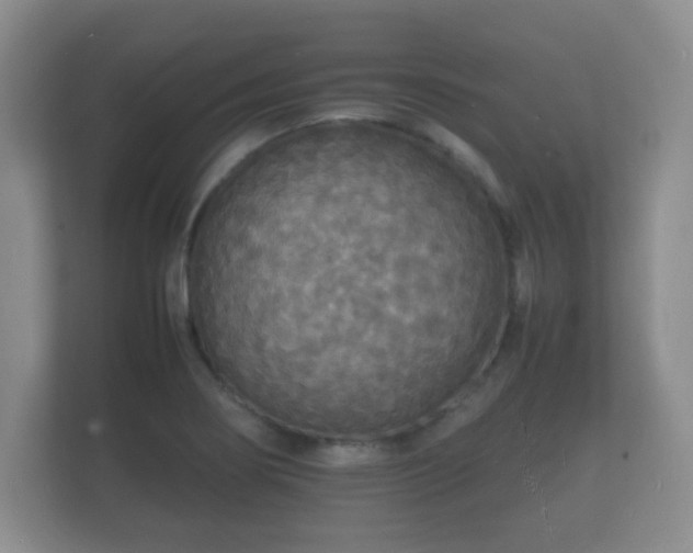 X0000112151274200908141207