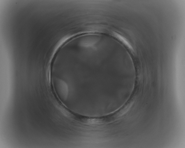 X0000112151275200908141207