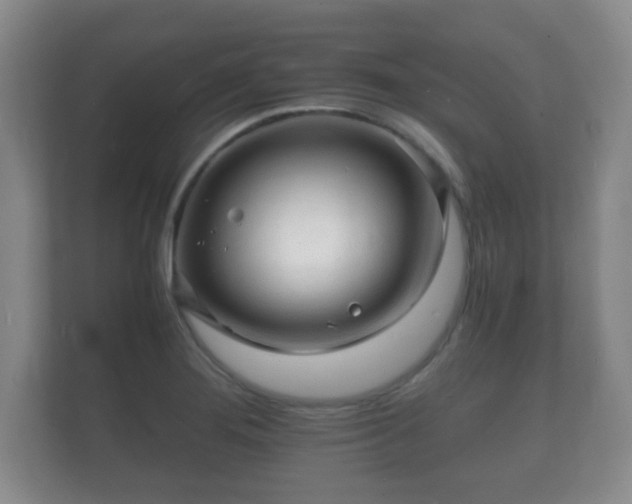 X0000112151276200908141207
