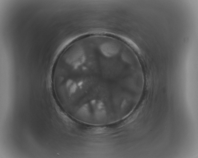 X0000112151279200908141207