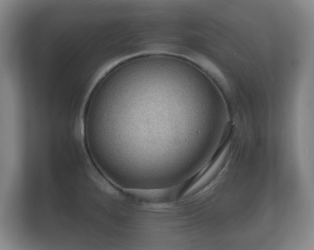 X0000112151280200908141207