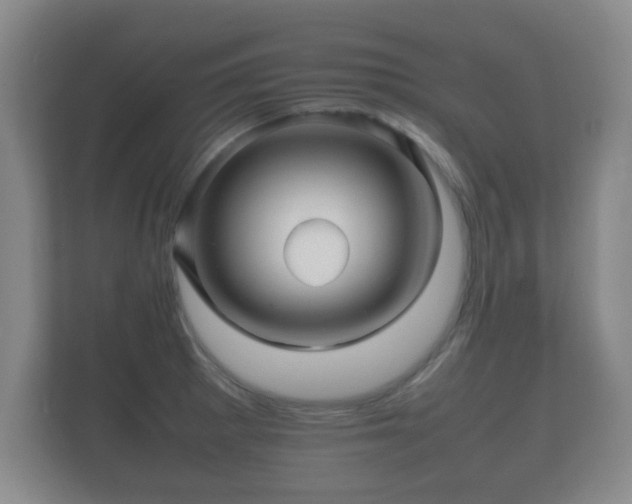 X0000112151281200908141207