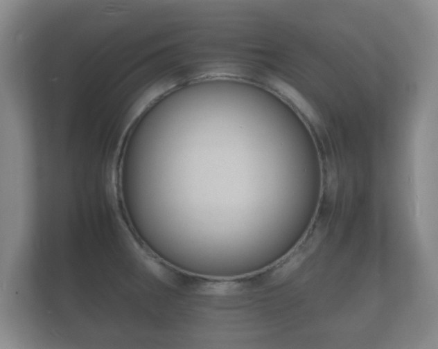 X0000112151282200908141207