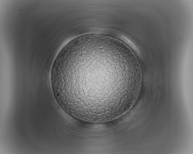 X0000112151283200908141207