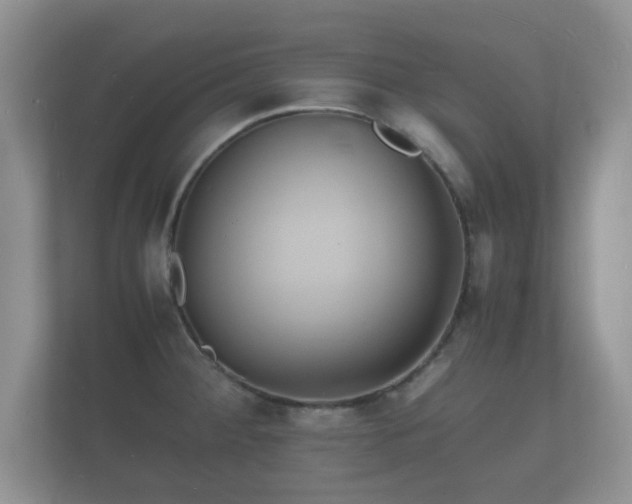 X0000112151284200908141207