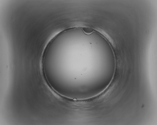 X0000112151285200908141207