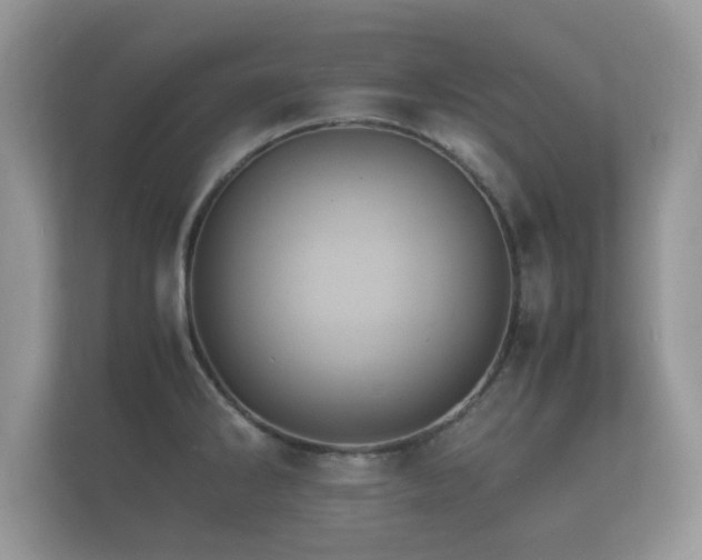 X0000112151286200908141207