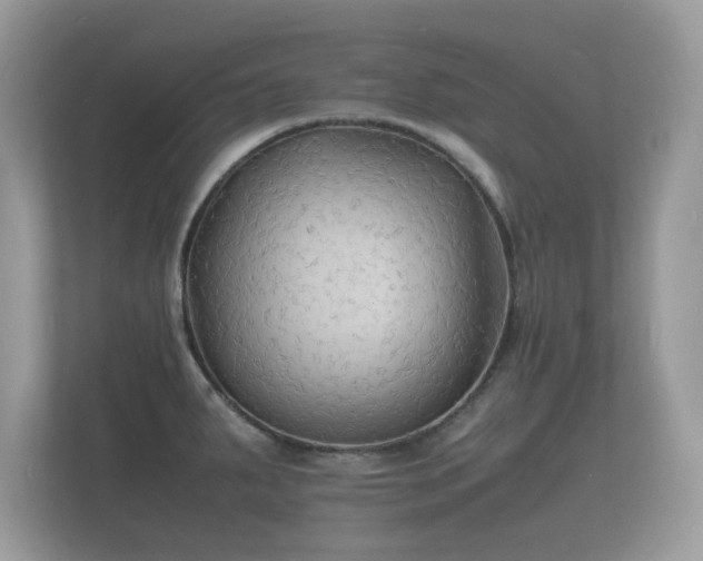 X0000112151287200908141207