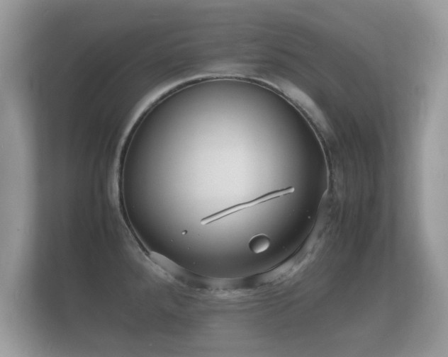 X0000112151288200908141207