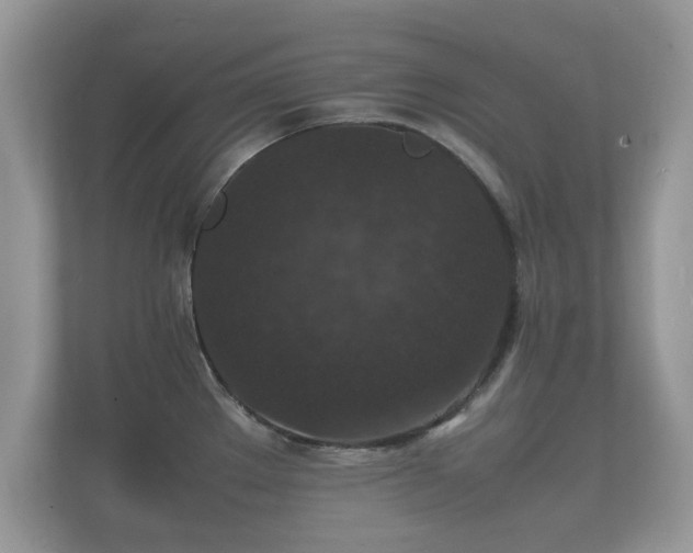 X0000112151289200908141207